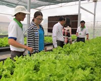 Đẩy mạnh phát triển chuỗi cung ứng sản phẩm nông sản thực phẩm an toàn 