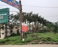 Có hay không việc Công ty Dabaco gây ô nhiễm môi trường