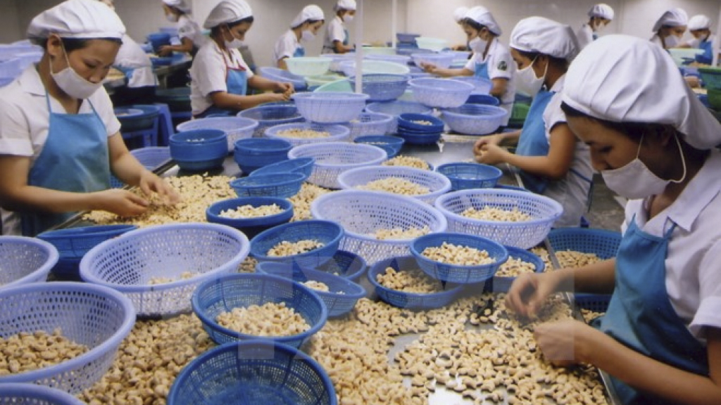 Quý I/2019 giá trị xuất khẩu hàng nông sản giảm mạnh 