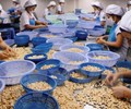 Quý I/2019 giá trị xuất khẩu hàng nông sản giảm mạnh 