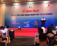 Hỗ trợ đưa hàng Việt vào hệ thống phân phối lớn