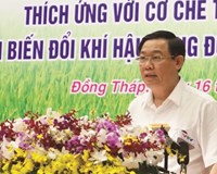 Phó Thủ tướng Vương Đình Huệ Phát triển HTX kiểu mới “Chính sách đã có nhiều rồi và giờ phải hành động thôi 