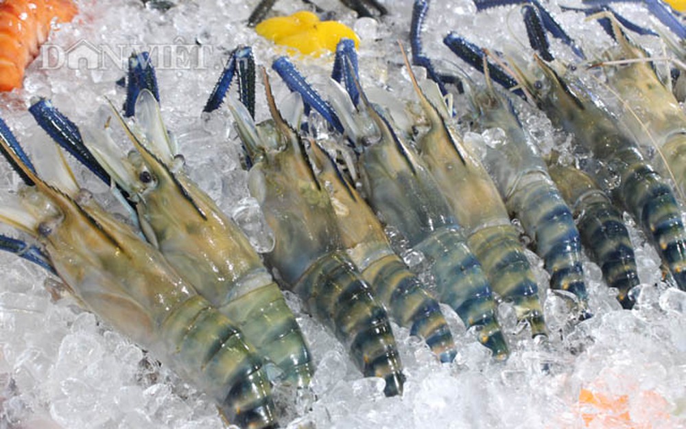 Bộ Thương mại Mỹ DOC công bố mức thuế CBPG tôm Việt Nam cho 31 doanh nghiêp về 0 