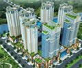 HQC chìm trong vùng giá thấp ông chủ Địa ốc Hoàng Quân tuyên bố mau vào 10 triệu cổ phiếu 