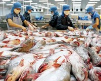 Thuế phi lý cá tra bị làm khó ở thị trường Mỹ 