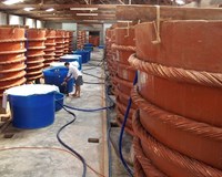 Doanh nghiệp nước mắm truyền thống không muốn có 2 hiệp hội nước mắm 