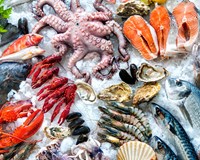Kì I tháng 7/2019 Sản lượng khai thác thủy sản khởi sắc 