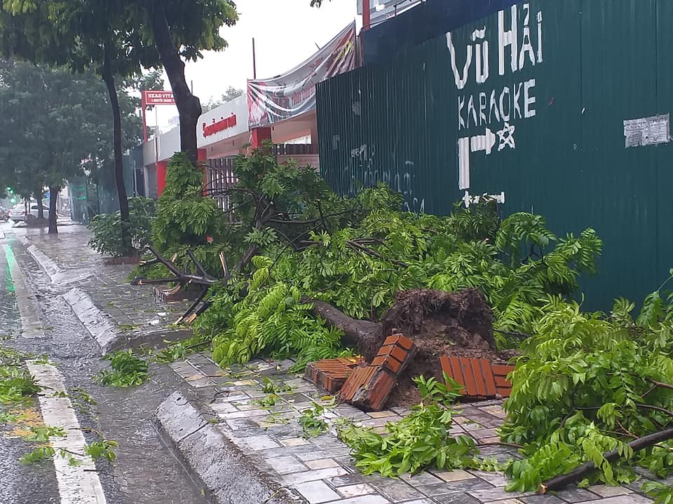 Hà Nội  Người dân căng mình chống chọi ảnh hưởng của cơn bão số 3 