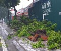 Hà Nội  Người dân căng mình chống chọi ảnh hưởng của cơn bão số 3 