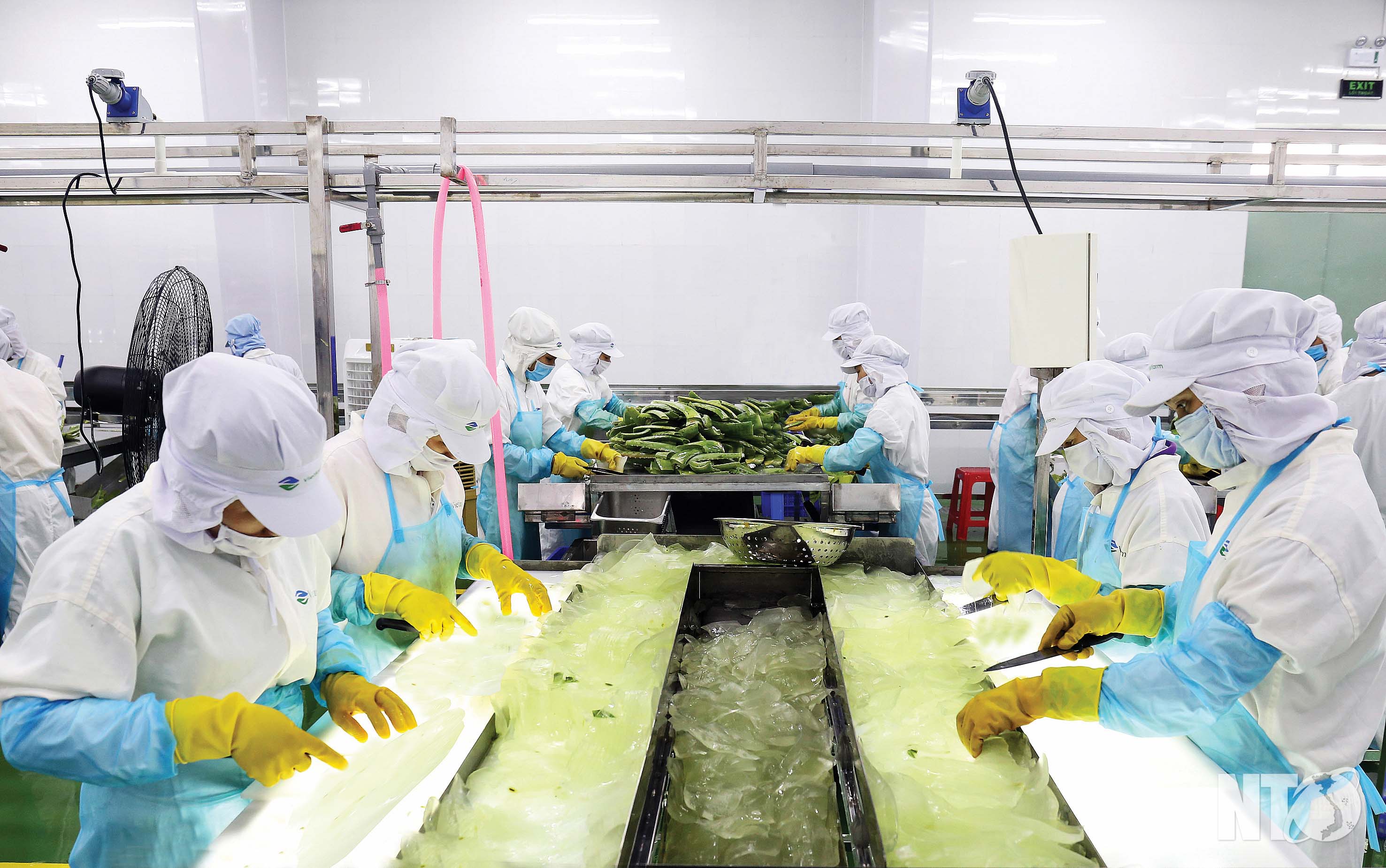 Sản xuất công nghiệp chế tạo chế biến tăng trưởng mạnh 