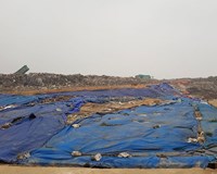 Công ty môi trường vi phạm luật vệ bảo vệ môi trường 