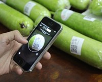 Hà Nội Gần 2.000 sản phẩm trái cây được truy xuất nguồn gốc