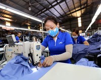 Áp dụng các biện pháp tự vệ đặc biệt để thực thi Hiệp định CPTPP 