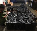 Thu giữ hơn 600 chai rượu ngoại nhập lậu giá gần 1 tỷ 