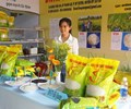 Việt Nam đoạt giải Gạo ngon nhất thế giới
