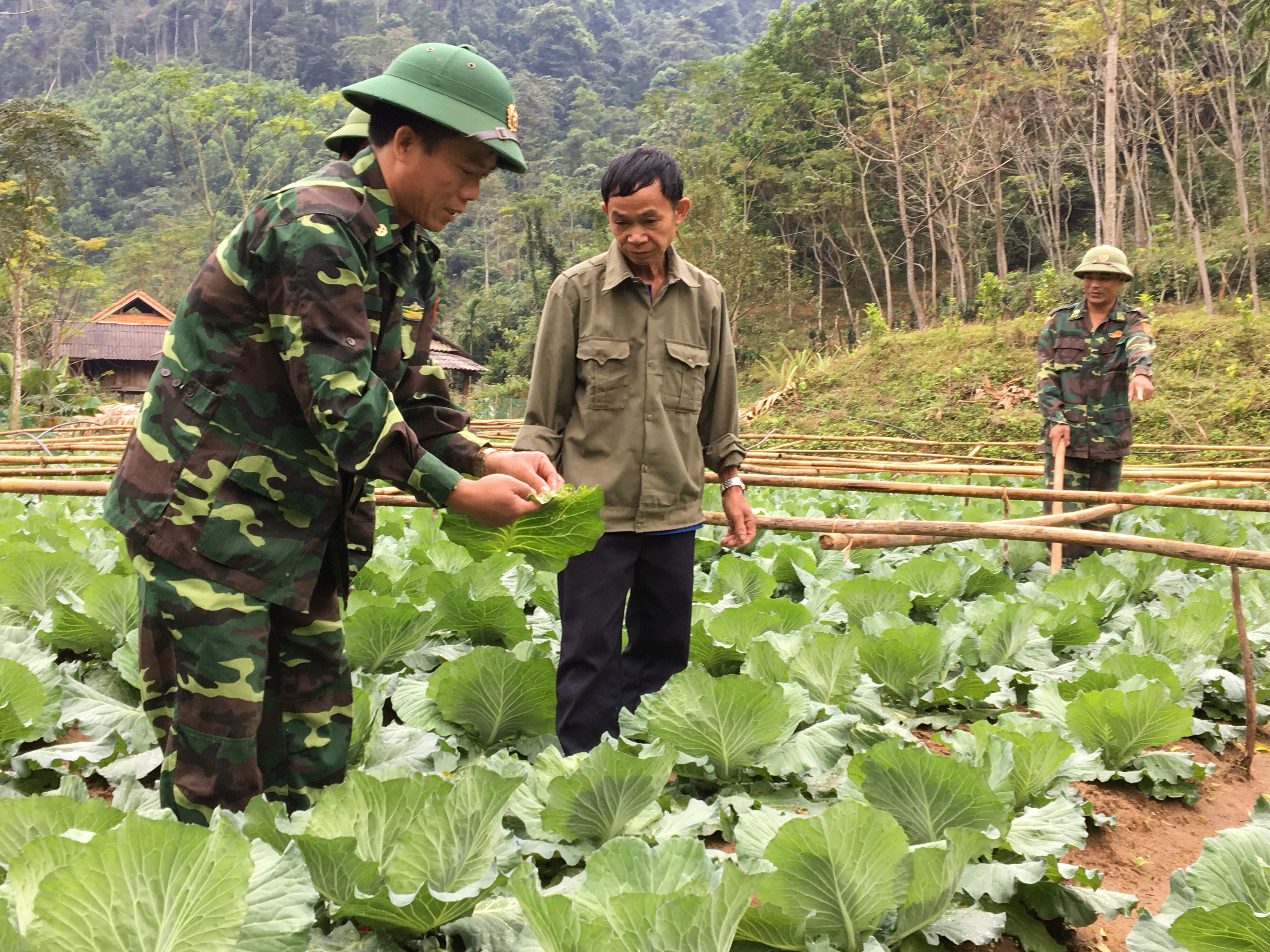Đảng ủy BĐBP Nghệ An phân công 593 đồng chí phụ trách 2846 hộ gia đình