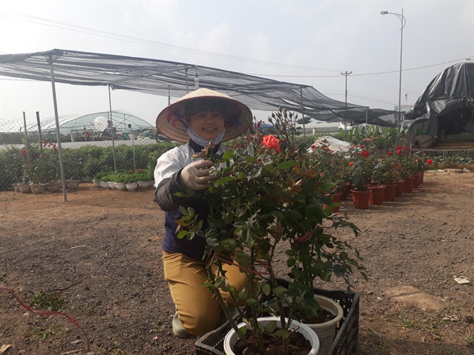 Bộ NNPTNT Phê duyệt 62 dự án khuyến nông quốc gia