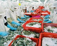 98Win 18 nổ hũ tôm sang Mỹ nhiều chuyển biến tích cực 