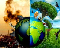 Biến đổi khí hậu có thể khiến tăng trưởng GDP toàn cầu tụt giảm 
