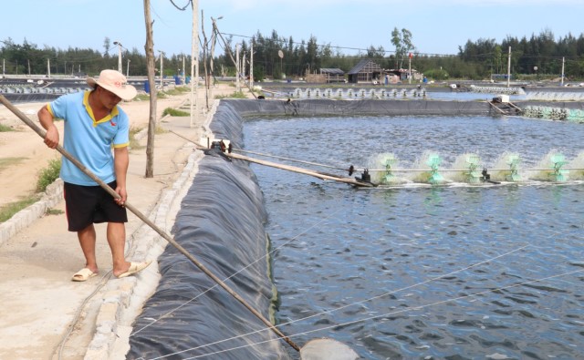 Hà Nội Chủ động phòng, chống rét cho động vật thủy sản