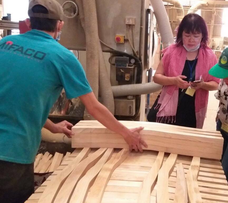 Sản lượng gỗ khai thác từ rừng trồng tăng mạnh