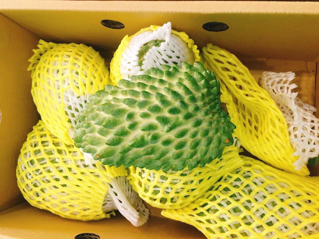 Quả na khổng lồ rực mùi sầu riêng, của hiếm lùng khắp Hà thành