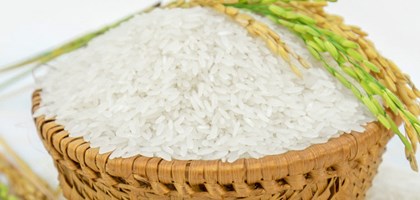Tháng 11 Giá lúa gạo tăng nhẹ do nguồn cung hạn chế