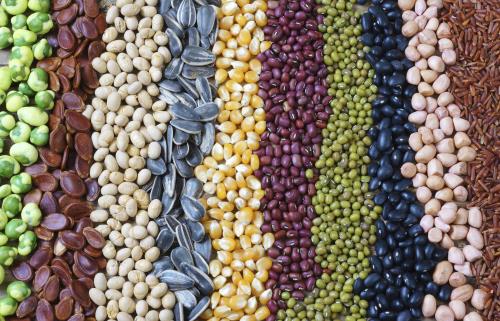 Giá cả thị trường nông sản ngày 512