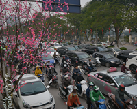 Thủ tướng Chính phủ yêu cầu đảm bảo trật tự an toàn giao thông dịp Tết và Lễ hội xuân 2020 