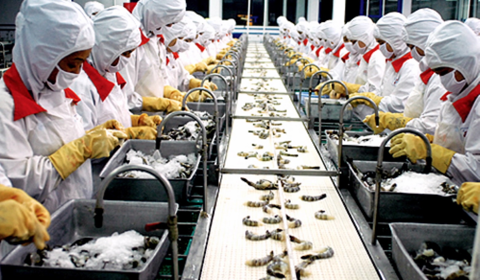  Xuất khẩu tôm sang Singapore giảm nhẹ