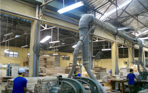 Giao dịch chui, Bà Trần Ngọc Xuân Trang vợ sếp lớn Gỗ Thuận An bị phạt 55 triệu đồng 