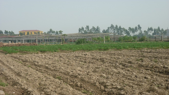 Thủ tướng Chính phủ đồng ý chuyển mục đích sử dụng đất trồng lúa tại tỉnh Vĩnh Phúc