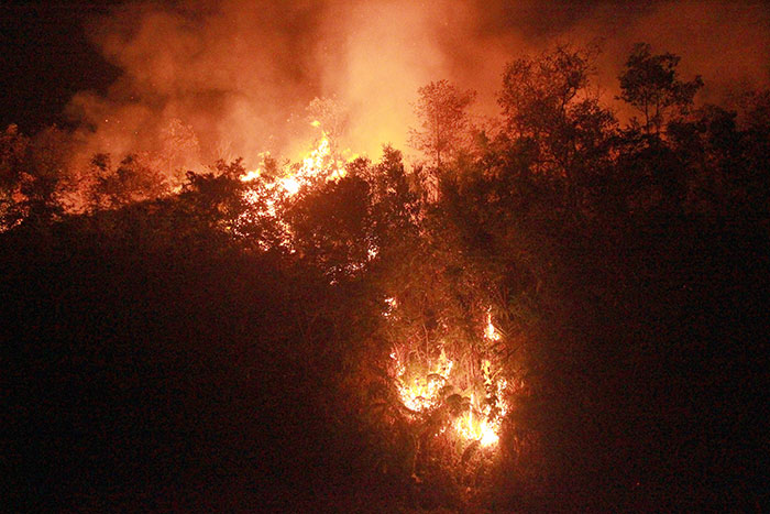 Điện BiênCháy rừng lớn tại xã Noong Luống