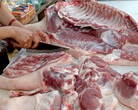 Khẩn trương báo cáo Thủ tướng tình hình giá thịt lợn 