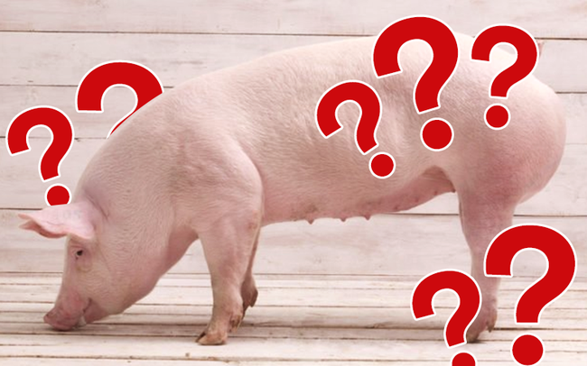 Giá thịt lợn tăng mạnh, tim lên đến 305.000VNDkg và đây là báo giá thịt để chị em tham khảo trước khi đi chợ