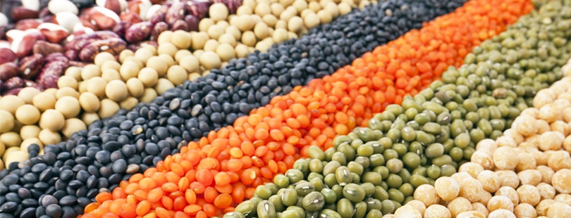 Cập nhật giá cả thị trường nông sản ngày 2012, giá cà phê tiếp tục giảm