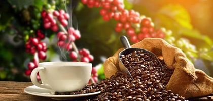 Cập nhật giá cả thị trường nông sản ngày 2212 Giá cà phê  tăng nhẹ, hồ tiêu lặng sóng