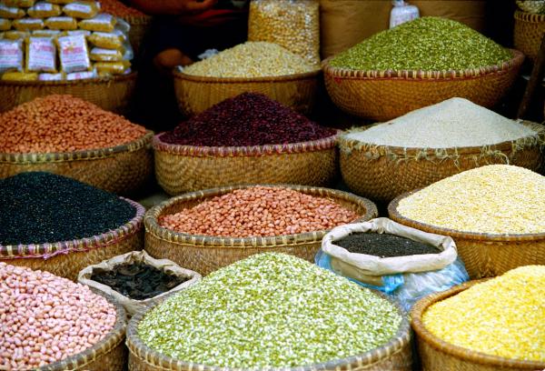 Cập nhật  giá cả thị trường nông sản ngày 2512 Cà phê khởi sắc, hồ tiêu trầm lắng