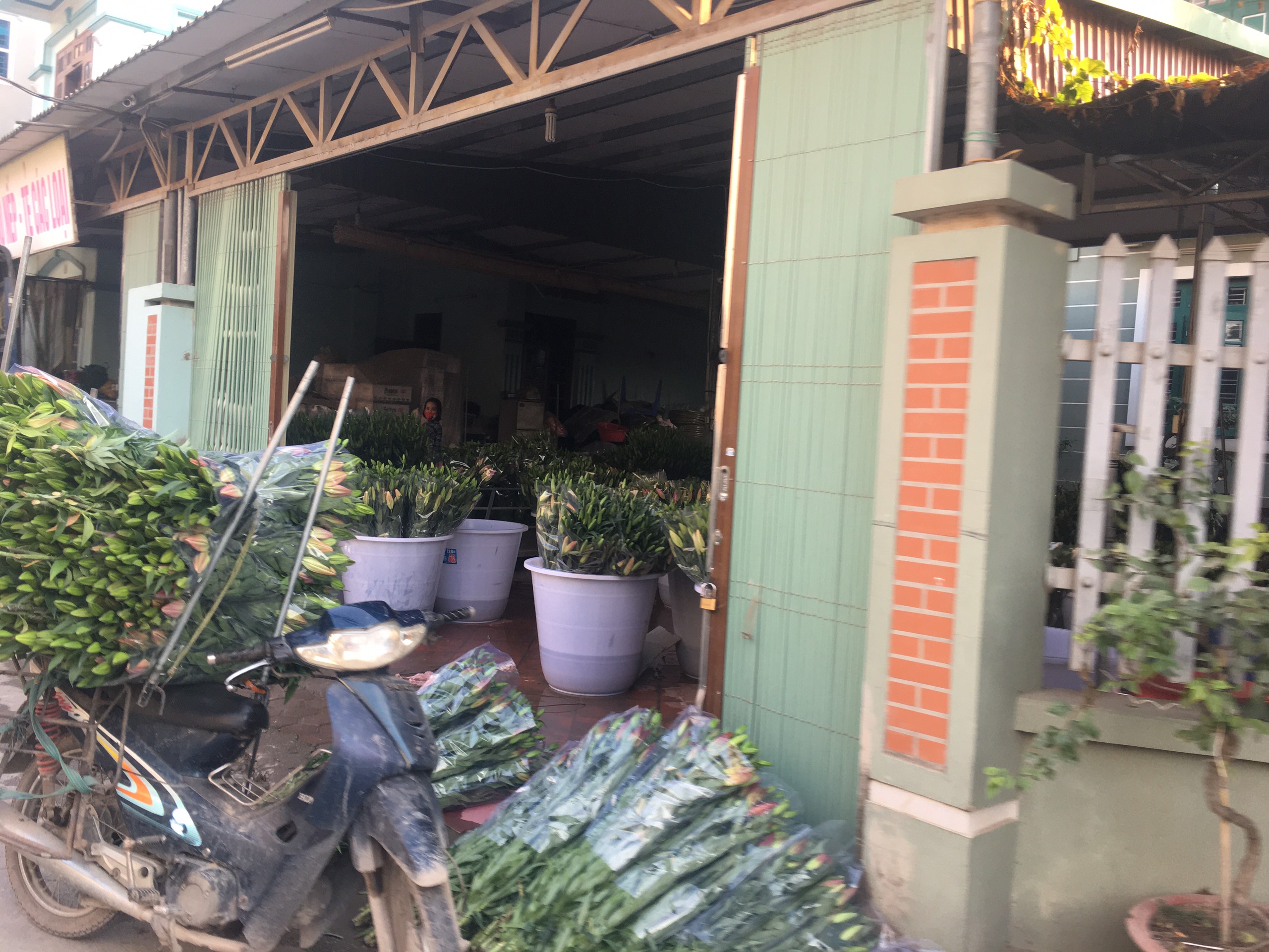 Làng hoa Tây Tựu - thủ phủ hoa của Hà Nội bận rộn ngày cuối năm