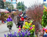 Hà Nội tổ chức 51 điểm chợ hoa xuân phục vụ Tết Nguyên đán Canh Tý 