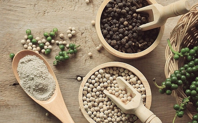 Giá hồ tiêu hôm nay ngày 2912 Tiếp tục đi ngang