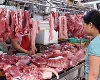 Thêm giải pháp đảm bảo nguồn cung thịt lợn Tết Canh Tý 2020 