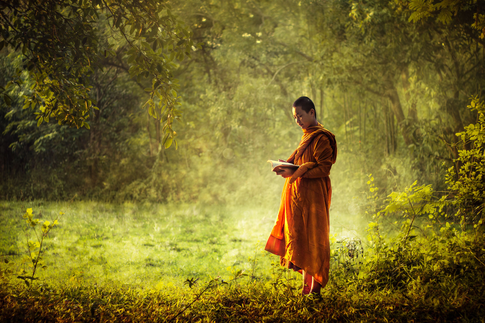 Con người chúng ta mệt mỏi - bởi vì đã nghĩ quá nhiều