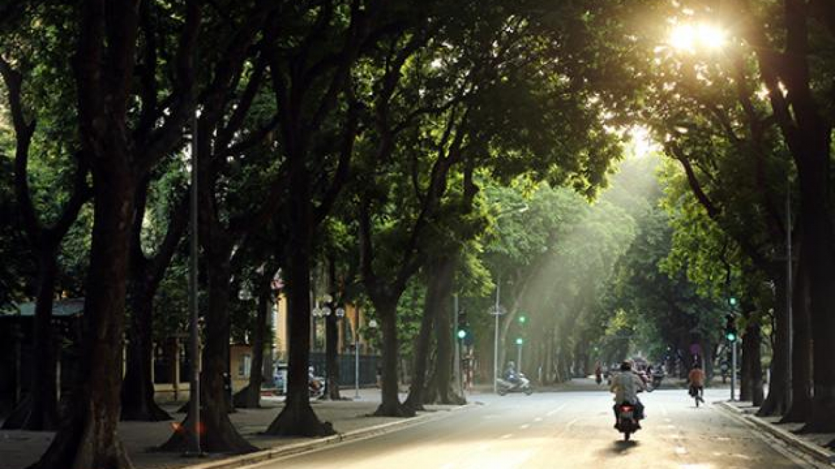 Dự báo thời tiết ngày mai 41 Hà Nội và các khu vực trên cả nước