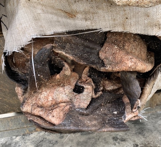 Nghệ An Phát hiện vụ vận chuyển 3,5 tấn da trâu, bò đã bốc mùi hôi thối