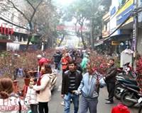 Hà Nội cấm đường hàng loạt tuyến phố để tổ chức chợ hoa Xuân 2020 