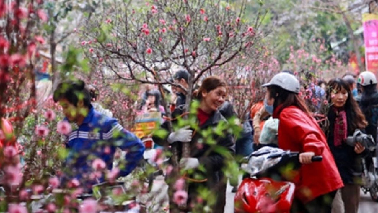 Dự báo thời tiết 10 ngày tới (từ đêm 11012020 đến ngày 21012020) các khu vực trên cả nước