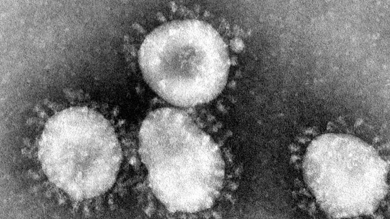 Nhật Bản Xuất hiện trường hợp đầu tiên nhiễm virus mới từ Trung Quốc