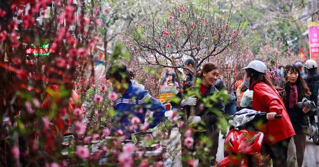 Dự báo thời tiết Tết nguyên đán Canh Tý 2020 từ 23-2912020 (29 tháng Chạp đến 05 tháng Giêng)