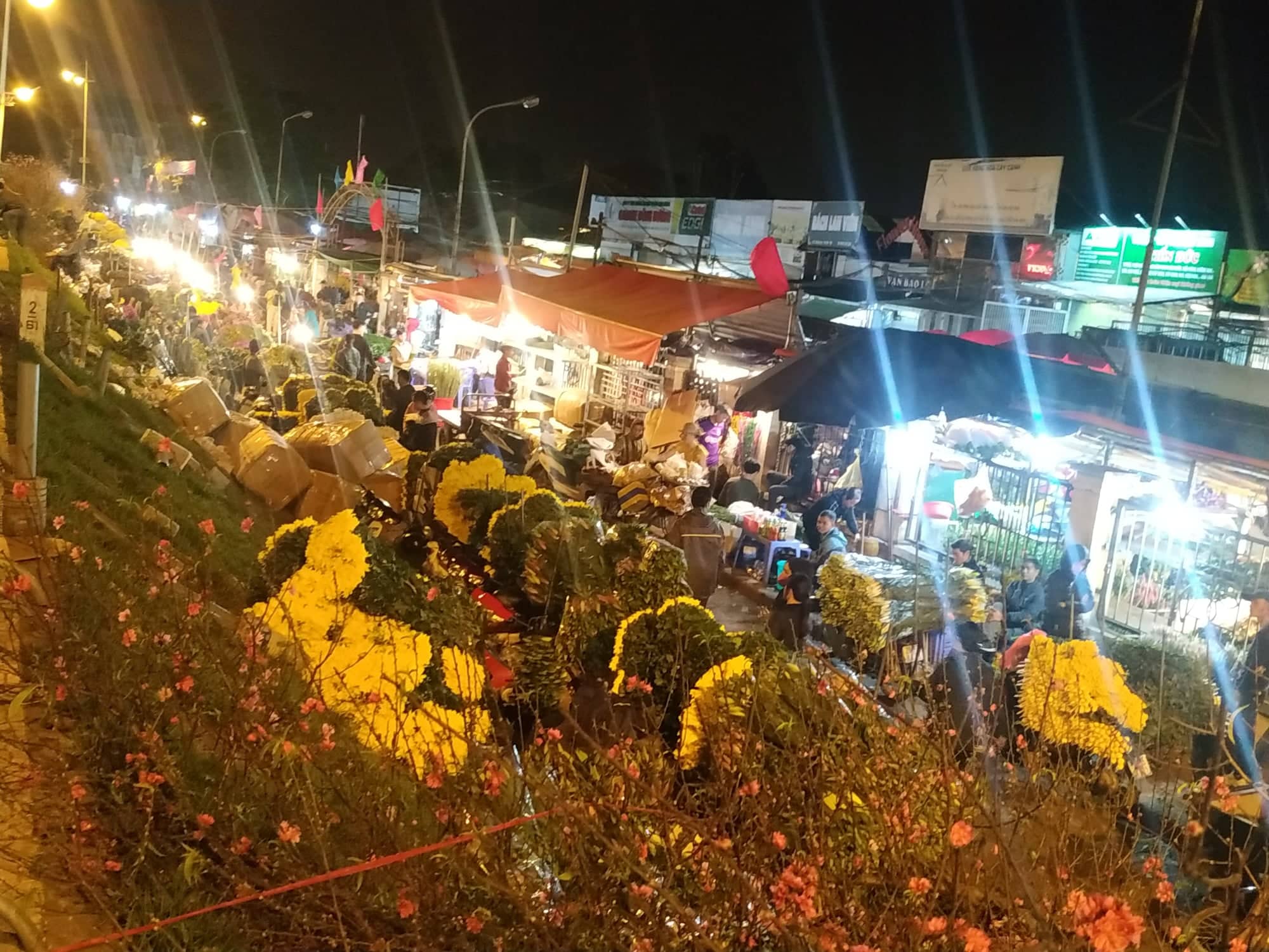 Vào thời điểm đêm tối, đường Quảng Bá trở nên lung linh tuyệt đẹp như trong tranh. Bức ảnh sẽ cho bạn thấy được sự hiền hòa và thanh tịnh của khu phố nơi những hàng hoa yên bình đang nghỉ ngơi.